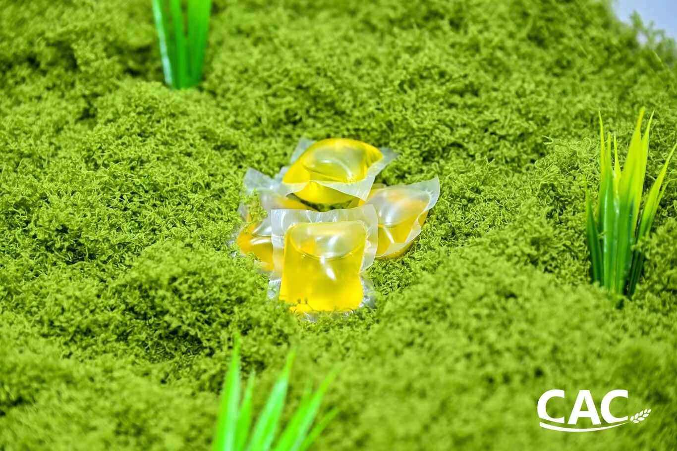 uploads/www.polyva.cn/images/17758128143817.jpg 6d04352fa457a6cf72a60e5e4282cb33.jpg